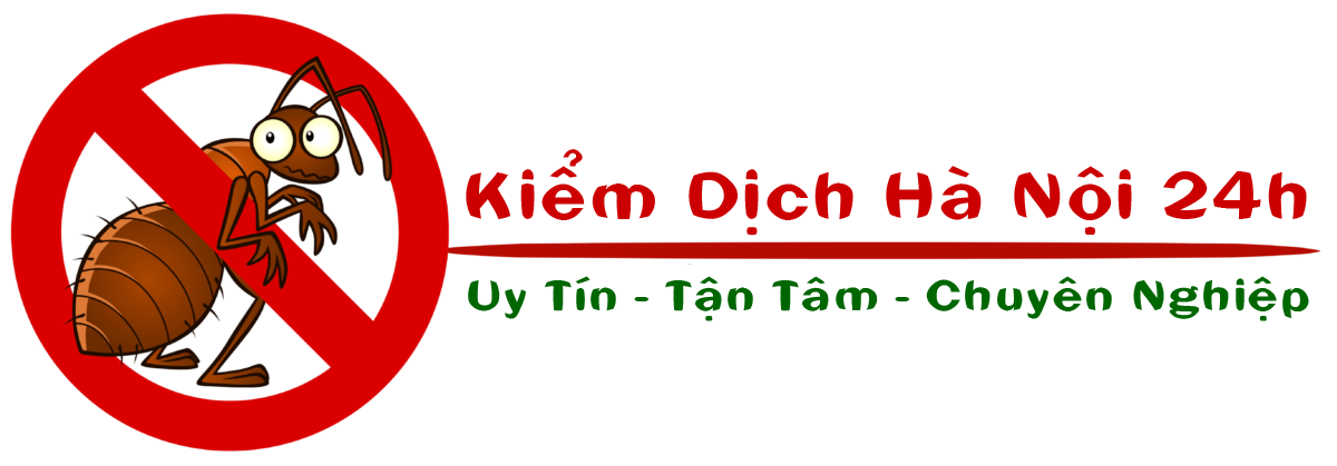 Kiểm Dịch Hà Nội 24h